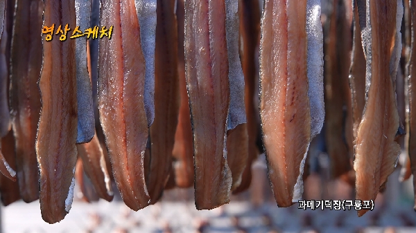 구룡포 과메기 덕장 대표이미지