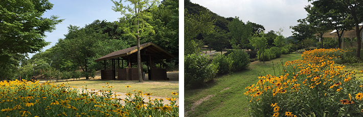 도음산 산림문화수련장 사진